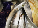 舟山寧波小眼帶魚(yú)特大東海整條鮮活冷凍新鮮正宗野生海釣油帶刀魚(yú) 海釣帶魚(yú)（300-400g/條）2500g無(wú)冰 曬單實(shí)拍圖