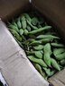 新鮮青毛豆現摘帶殼毛豆鮮嫩毛豆角農村自種蔬菜應季青毛豆 新鮮精品-帶殼毛豆-2斤 曬單實(shí)拍圖
