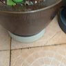修正花樂(lè )多*花盆托盤(pán)萬(wàn)向輪 可移動(dòng)花盆底座加厚圓形超大號 灰色-4號37cm 曬單實(shí)拍圖