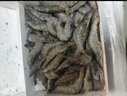 鮮京采 鮮凍大號黑虎蝦 去冰凈重2斤 31-40只/盒 斑節對蝦 曬單實(shí)拍圖