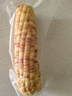 京地達云南西雙版納花糯玉米凈重4斤裝13根左右老品種玉米輔食源頭直發(fā) 曬單實(shí)拍圖