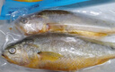 海名威 冷凍黃花魚(yú)700g/2條 寧德大黃魚(yú)地標 海鮮水產(chǎn) 生鮮魚(yú)類(lèi) 海魚(yú) 曬單實(shí)拍圖