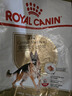 皇家狗糧 德牧成犬狗糧 犬糧 寵物大型犬 GS24 全價犬糧 ≥15月 12KG 曬單實拍圖