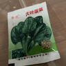 四季大葉菠菜種子耐熱夏季紅根小葉波菜種籽高產(chǎn)新種秋冬季蔬菜孑 四季大葉菠菜種子【當季新種】 精選：【1包1008?！?贈 曬單實(shí)拍圖