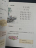 【新華書(shū)店正版】2025新版小學(xué)2二年級上冊語(yǔ)文書(shū)人教版部編版 2二年級上冊語(yǔ)文課本教材教科書(shū)2二上語(yǔ)文書(shū) 義務(wù)教育教科書(shū)人民教育出版社二年級語(yǔ)文上冊 【2025新版】二年級上冊語(yǔ)文課本 曬單實(shí)拍圖