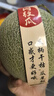 京鮮生 玫瓏網(wǎng)紋瓜 凈重4-5斤 2粒 源頭直發(fā)包郵 曬單實(shí)拍圖
