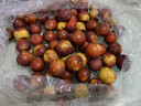 鮮級佳山東沾化冬棗新鮮大棗冰糖脆甜紅棗甜包郵孕婦水果當季水果脆青棗 沾化冬棗 凈重1.8斤 曬單實(shí)拍圖