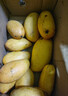 海南小臺農芒果10斤新鮮小臺芒應當季熱帶水果現摘甜心芒大果包郵 3斤裝 中果【80-100g】 曬單實(shí)拍圖