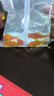 紅草金草金魚(yú)活魚(yú)錦鯉魚(yú)苗觀(guān)賞魚(yú)淡水魚(yú)冷水魚(yú)小型耐活活體小金魚(yú)新手好養易活 3-5cm紅草金5條含1條備損 曬單實(shí)拍圖