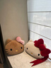 野獸派家居（tbh）三麗鷗Hello Kitty二合一法蘭絨抱枕毯子 毛絨午睡毯車(chē)載靠枕 二合一法蘭絨毯/抱枕 蝴蝶結 曬單實(shí)拍圖