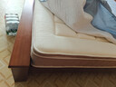 麻大師席夢(mèng)思床墊S型黃麻護腰 線(xiàn)下同款 家用豆芽3.0 1.8*2米 偏硬護脊 曬單實(shí)拍圖