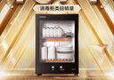 康寶（Canbo）消毒柜家用小型消毒碗柜高溫立式迷你臺式餐具碗筷收納柜廚房消毒機【國家補貼】XDR53-TVC1 曬單實(shí)拍圖