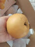 京鮮生山東煙臺萊陽(yáng)秋月梨凈重8斤 單果300g+ 生鮮水果 源頭直發(fā)包郵 曬單實(shí)拍圖
