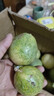 星派果（XINGPAIGUO）廣西黃金百香果欽蜜9號新鮮水果當季水果現摘整箱水果 2斤 凈重1.5-1.7斤 單果40-60g 曬單實(shí)拍圖
