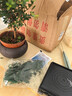 小葉赤楠盆景老樁盆栽植物辦公室室內花卉桌面四季常青好養綠植 小葉赤楠+舍得盆+苔蘚+底座 曬單實(shí)拍圖