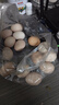 農家散養谷物土雞蛋50±5克/枚 30枚 曬單實(shí)拍圖