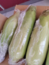 佳農寶菜山東新鮮水果玉米單根275g+鮮甜多汁4-7根凈重4.6斤源頭直發(fā) 曬單實(shí)拍圖