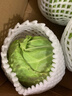 包菜新鮮卷心菜大頭菜農戶(hù)自種當季綠葉蔬菜綠甘藍 綠甘藍 5斤 曬單實(shí)拍圖