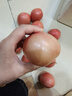京地達西紅柿普羅旺斯西紅柿山東 凈重4.5斤 單果120g+蔬菜源頭直發(fā)包郵 曬單實(shí)拍圖