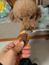 HELLOJOY狗狗零食 肉干肉條成犬幼犬通用訓狗獎勵零食 鴨肉繞雪梨120g 曬單實(shí)拍圖