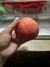 京地達蘋(píng)果新疆阿克蘇冰糖心蘋(píng)果紅富士 凈重8.5斤單果220g源頭直發(fā)包郵 曬單實(shí)拍圖