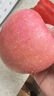 西域美農正宗陜西洛川紅富士蘋(píng)果2025年新果8.5斤250g+ 脆甜新鮮 源頭直發(fā) 曬單實(shí)拍圖