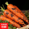 京喜加新鮮現挖現發(fā)胡蘿卜農家自種蔬菜水果沙地紅蘿卜 帶泥胡蘿卜3斤 含箱 曬單實(shí)拍圖