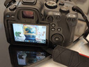 佳能（Canon） EOS R6 Mark II/r6三代全畫(huà)幅微單相機r6 2二代專(zhuān)業(yè)微單 Vlog數碼相機 R6二代單機+RF24-70鏡頭套裝 官方標配【京東多倉發(fā)~快可次日達】 曬單實(shí)拍圖