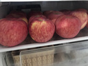 京鮮生 煙臺紅富士蘋(píng)果 凈重10斤  單果160g以上 水果禮盒 曬單實(shí)拍圖