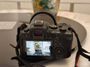 佳能（Canon） EOS R6 Mark II/r6三代全畫(huà)幅微單相機r6 2二代專(zhuān)業(yè)微單 Vlog數碼相機 R6二代單機+RF24-70鏡頭套裝 官方標配【京東多倉發(fā)~快可次日達】 曬單實(shí)拍圖