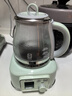 北鼎（Buydeem）養生壺 全玻璃一體 養生壺煮茶器燉煮煮茶壺燒水壺 花茶養生壺 熱牛奶0膠水母嬰級水壺禮物 【淺杉綠】全玻璃養生壺FK571-單壺 1.2L 曬單實(shí)拍圖