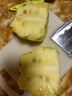 正宗海南金鉆鳳梨新鮮水果當季樹(shù)上熟芒果鳳梨【催熟食用】 1粒裝單果500g-650g【7成熟，催熟再吃】 曬單實(shí)拍圖