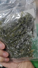 鮮海帶 鹽漬海帶絲 涼拌菜海帶絲食材鮮嫩 鹽漬海帶絲100g 曬單實(shí)拍圖