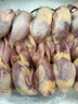 崠鮮鵪鶉生鮮約6斤 共20只 新鮮冷凍鵪鶉肉母鵪鶉 燒烤生鮮 源頭直發(fā) 曬單實(shí)拍圖