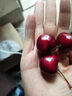 靜羽智利車(chē)厘子次日達【JD/順豐】車(chē)厘子5kg進(jìn)口櫻桃水果送禮品禮盒裝 3斤(凈重) 精品禮盒【高復購】 超級巨無(wú)霸4J 單果32-34mm 曬單實(shí)拍圖