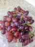春果蔬 新鮮無(wú)籽克倫生紅提葡萄克倫生葡萄爆甜新鮮特甜無(wú)籽葡萄 【順豐彩箱】?jì)糁?.7-3斤裝 【克倫生紅提】紙箱+氣柱包裝 曬單實(shí)拍圖