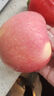 西域美農正宗陜西洛川紅富士蘋(píng)果2025年新果8.5斤250g+ 脆甜新鮮 源頭直發(fā) 曬單實(shí)拍圖