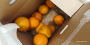 【整箱】產(chǎn)地直采愛媛果凍橙中大果2.5kg 曬單實(shí)拍圖