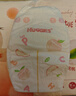 好奇（Huggies）鉑金裝小桃褲紙尿褲M(mǎn)144片(6-11kg)中號尿不濕【透爽散熱】 曬單實(shí)拍圖