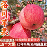 洛川蘋(píng)果陜西延安特產(chǎn)紅富士時(shí)令蘋(píng)果水果禮盒送蘋(píng)果生鮮新鮮脆甜整箱批發(fā) 18個(gè)80mm大果優(yōu)選 彩箱裝【推薦】 曬單實(shí)拍圖