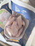 CP正大食品大雞翅中2斤單個(gè)翅中30-40g左右 凈重雞中翅紅燒可樂(lè )燒烤 曬單實(shí)拍圖