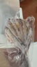 順豐微山湖野捕新鮮小白條魚(yú)翹嘴魚(yú)刁子魚(yú)淡水小河魚(yú)活魚(yú)現殺發(fā)貨 大號翹嘴魚(yú)【每斤8-15條左右】 1斤裝【殺好凈膛發(fā)貨損耗15%】 曬單實(shí)拍圖