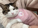 TMJD MISS貓咪衣服保暖秋冬季布偶貓背心絨衣寵物小型犬狗狗小貓幼貓防掉毛 粉色高品質(zhì)兔毛絨S碼【3-4斤內】 曬單實(shí)拍圖