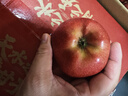 京鮮生天水花牛蘋(píng)果 凈重8斤 單果170g+ 生鮮水果源頭直發(fā) 曬單實(shí)拍圖