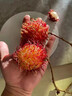 海南紅毛丹新鮮水果5斤毛荔枝毛丹果熱帶紅牡丹當季整箱順豐包郵 帶箱2斤裝 曬單實(shí)拍圖