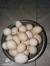 新鮮農家谷物鮮雞蛋  現撿現發(fā) 破損包賠  營(yíng)養早餐 30枚裝（3斤） 曬單實(shí)拍圖