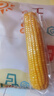 玉米神黃糯玉米棒8根≥1800g/3.6斤粘香軟糯東北代餐無(wú)添加非轉基因粗糧 曬單實(shí)拍圖