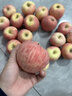 阿克蘇蘋(píng)果源頭直發(fā)新疆阿克蘇冰糖心蘋(píng)果紅富士丑蘋(píng)果當季應季新鮮時(shí)令水果 10斤【家庭裝】單果75-85mm凈重8.5斤 曬單實(shí)拍圖
