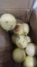 廣西欽蜜9號黃金百香果萬(wàn)澄當季新鮮大果黃皮果奶茶店水果 【1斤 約11-17個(gè)】單果30-45g 曬單實(shí)拍圖