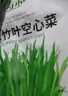 大禹小葉空心菜種子苗帶土秧苗竹葉通心菜籽白梗大葉耐寒蔬菜冬春季 泰國柳葉空心菜種子100粒 曬單實(shí)拍圖